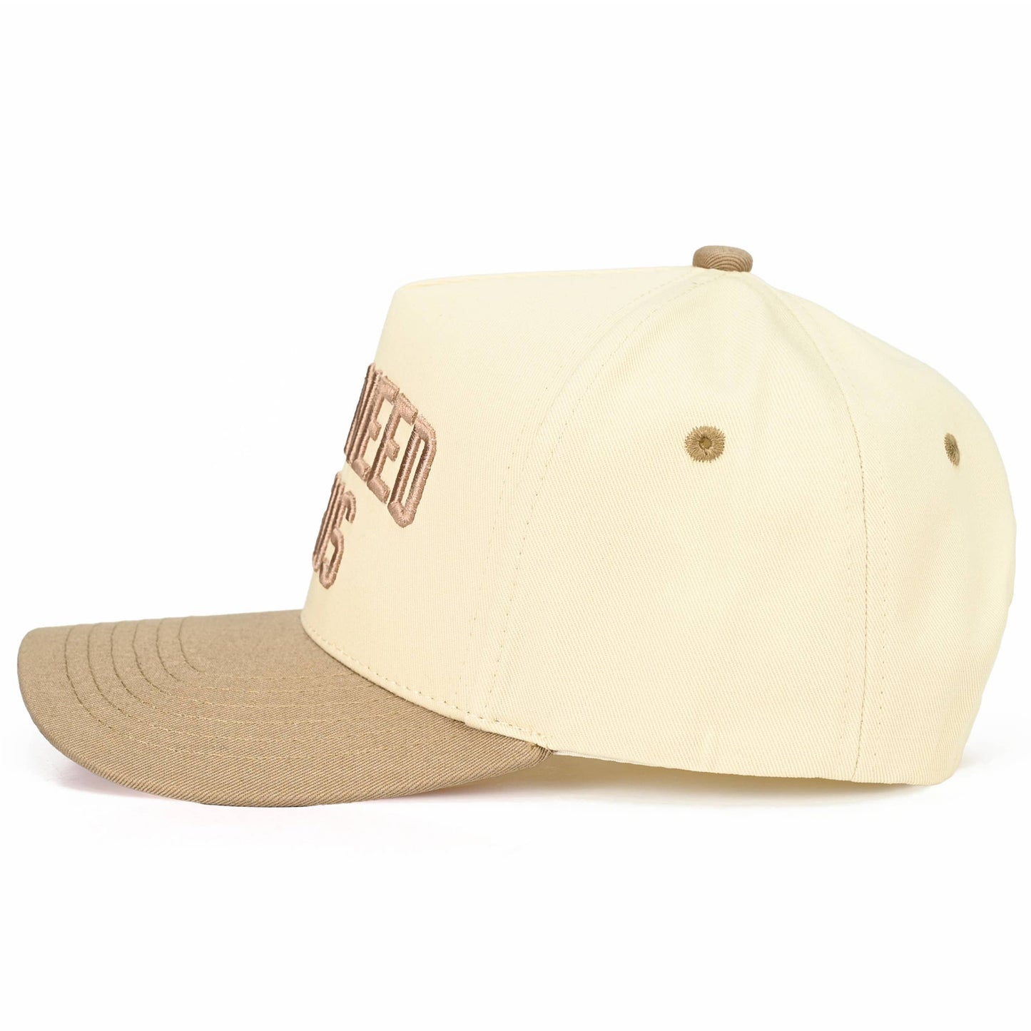 Y'ALL NEED JESUS Snapback